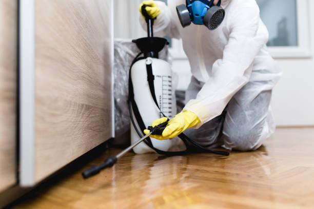 Best Bed Bug Extermination  in Concord, VA