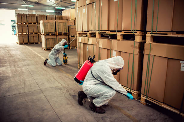 Best Residential Pest Control  in Concord, VA