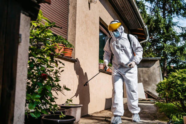 Best Affordable Pest Control Services  in Concord, VA