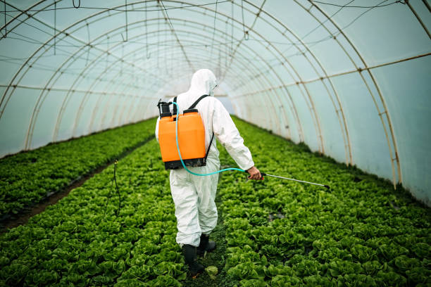 Best Best Pest Control Companies  in Concord, VA