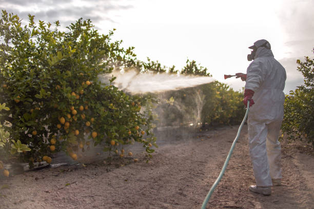 Best Wildlife Control Services  in Concord, VA