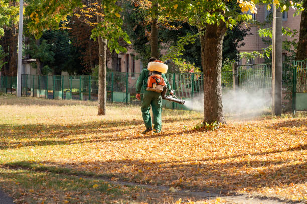 Best Exterminator Services  in Concord, VA