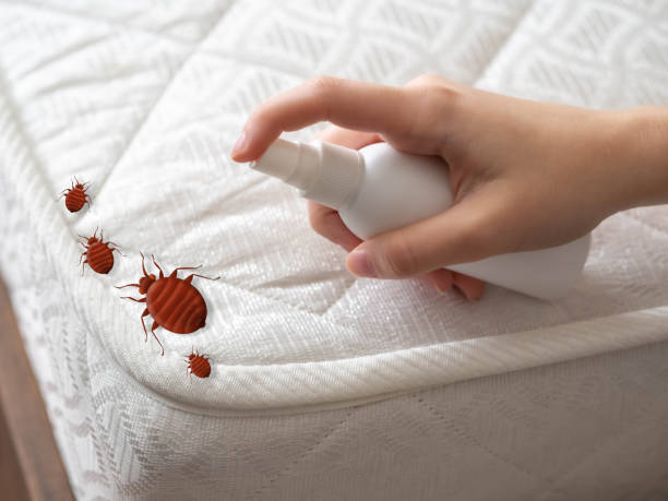 Best Mosquito Control Services  in Concord, VA
