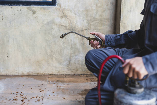 Best Affordable Pest Control Services  in Concord, VA